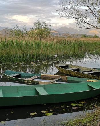 Close-up of 5 simple fishing boats moored on edge of lake.