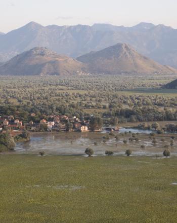 Landscape with mountains in background.