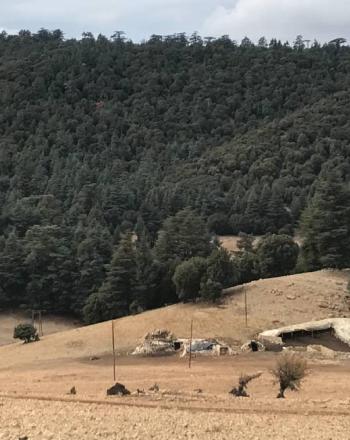 Forest and Pastureland in the High Atlas Mountains