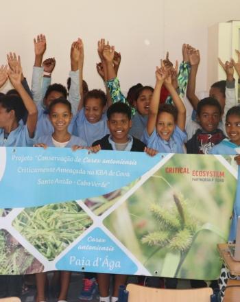 Niños celebrando los éxitos del proyecto para la conservación de la endémica Carex antoniensis, Santo Antao, Cabo Verde