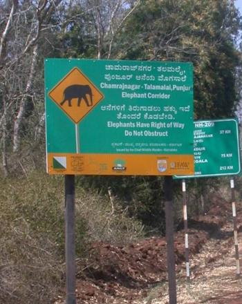 Panneau indiquant aux automobilistes que les éléphants ont le droit de passage.