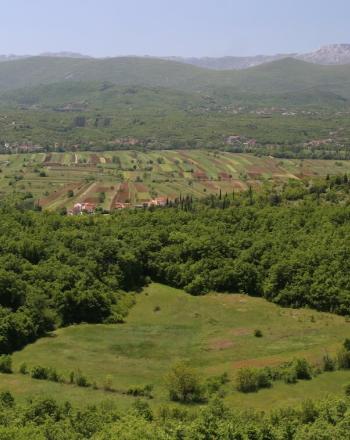 Green valley, agriculture in background.