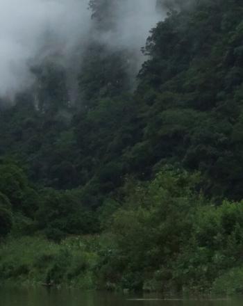 Valle exuberante con nubes.