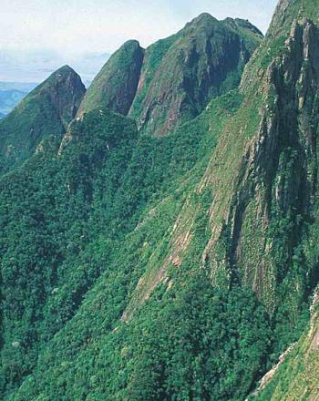 Montañas escarpadas y frondosas.