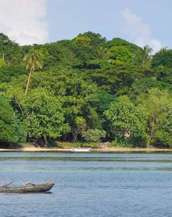 Fisherman on water in small boat, lush island in the background.