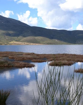 Lagoon with green, rolling hills in background and blue sky.