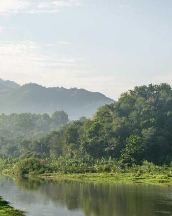 Río más grande con bosque verde a ambos lados y montañas verdes al fondo.
