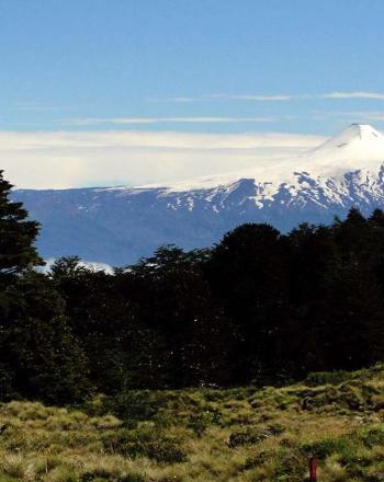 Green landscape with snow-covered volcanic cone in the distance.