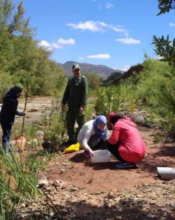 Four people next to stream, collecting specimens.