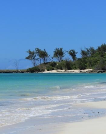 White-sand beach, turqouise waters and trees in background.