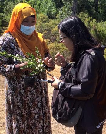 Two women outside discussing plant that one of the women holds in her hand.