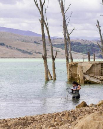 Woman standing in shallow water, looking into net she's holding above service.