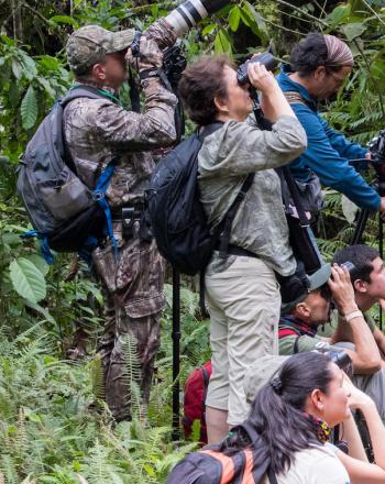 Un puñado de personas mirando hacia arriba a través de binoculares.