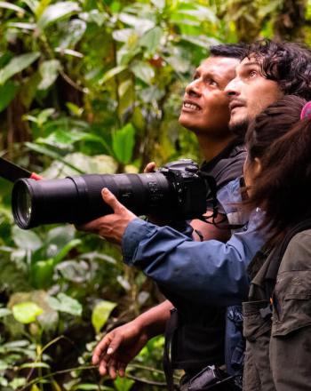Dos hombres y una mujer observando aves en el bosque, un hombre sostiene una cámara con una lente muy larga.