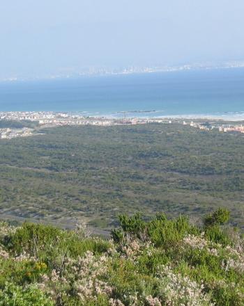 Paysage verdoyant au premier plan, eau à côté de la ville en arrière-plan.