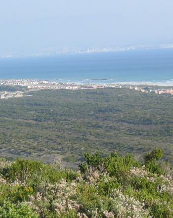 前景の緑の風景、背景の都市の隣の水。