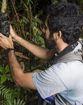 Man putting camera trap on tree.