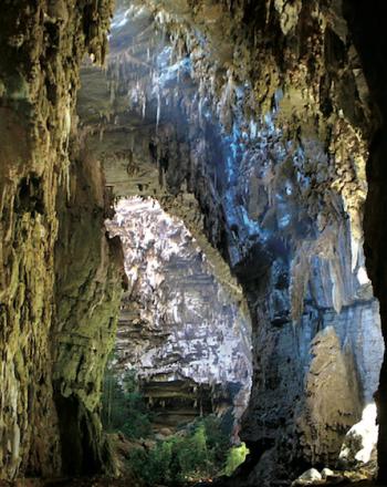 Inside a large cave with light filtering in.