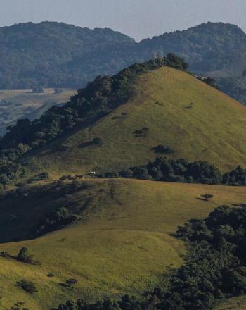 Landscape of rolling, green hills.