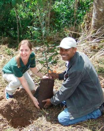 A woman and man planting a tree.
