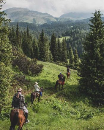 Four people on horseback riding down a grassy mountain between stands of trees.