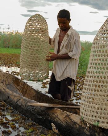Homme debout à côté d'un canot en eau peu profonde qui contient deux pièges à poissons en forme de cône.