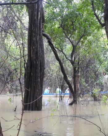 Lago inundado con canoa en segundo plano.