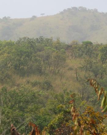 Hilly, green terrain.