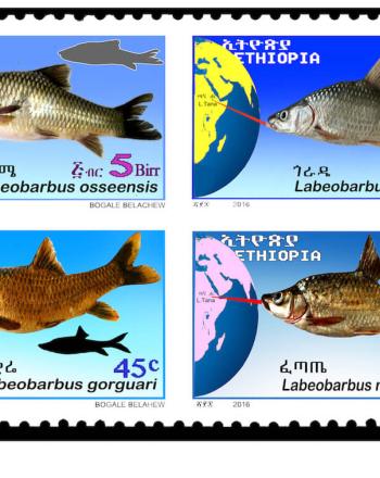 4 sellos con dibujos de peces en ellos