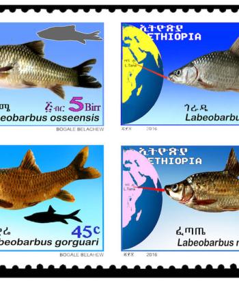 4 stamps with fish drawings on them