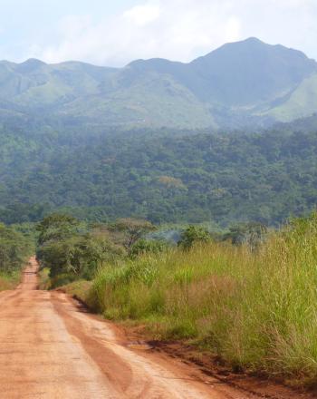 Nimba mountains at the border between Liberia and Guinea