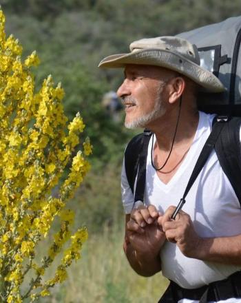 Man with large backpack standing next to yellow-flowering tree.