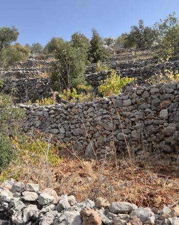 Several stone walls on hill.