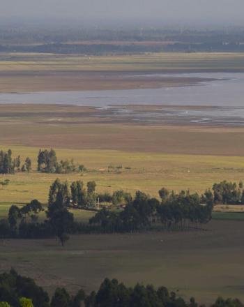Vista of plains with a few trees, water in the distance.