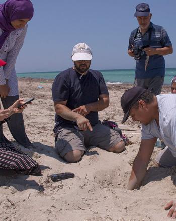 Five people on beach, one is digging with his hand.