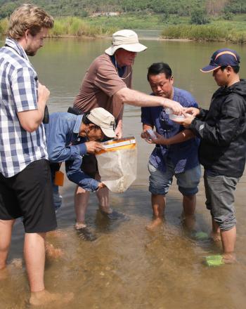 Cinco hombres en el agua hasta los tobillos, trabajando juntos.