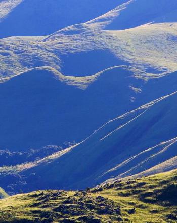 Rolling, green hills.