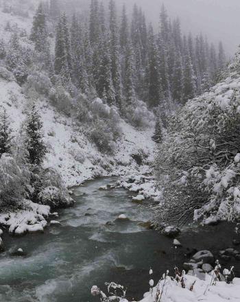 Stream running through snow-covered landscape.