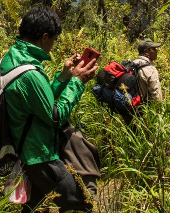 Dos hombres caminando por el bosque nuboso.