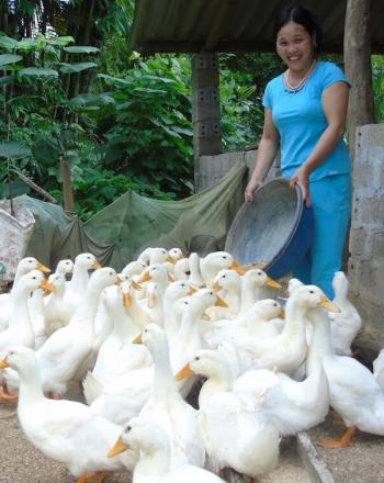 Una mujer sonriente alimenta a unos 20 patos de un recipiente redondo que sostiene.