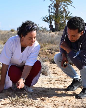 REACT Project team working in the field in Djerba island, Tunisia.