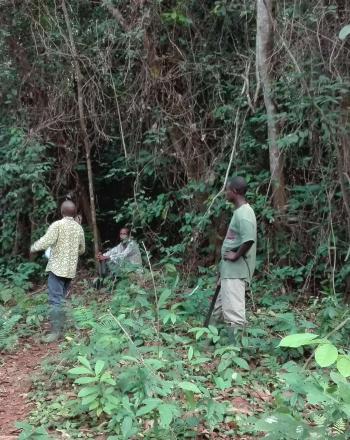 Four people standing in forest, talking.