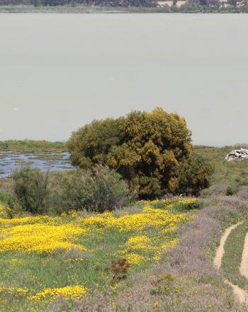 Sebkhet Sejoumi, un sitio Ramsar en Túnez