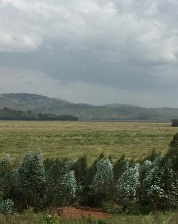 Pantano de Rugezi bajo un cielo nublado