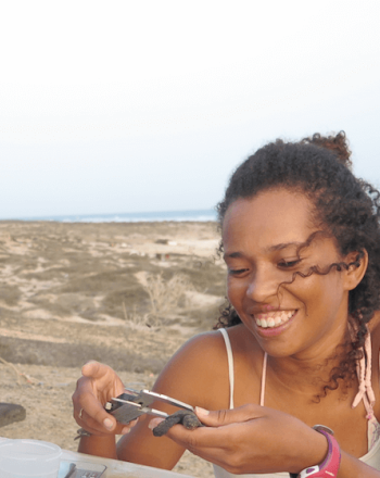 Woman measuring small turtle, man writing down notes.