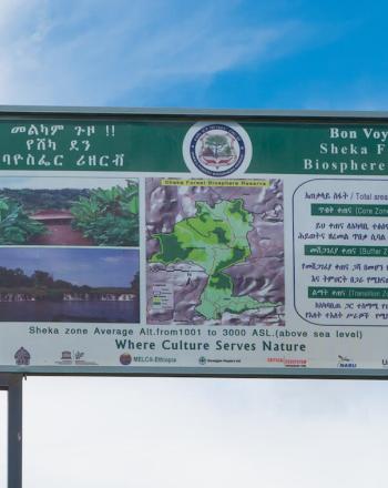 Large sign, clouds behind.
