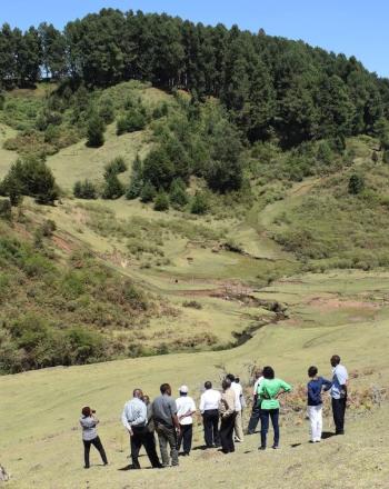 Group of about a dozen people standing in field that slopes up to a tree-covered hill.