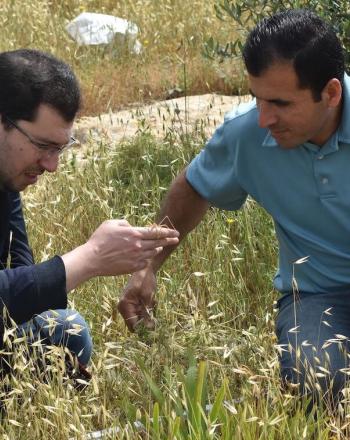 Two men kneeling in field, looking at something in one of the men's hand.