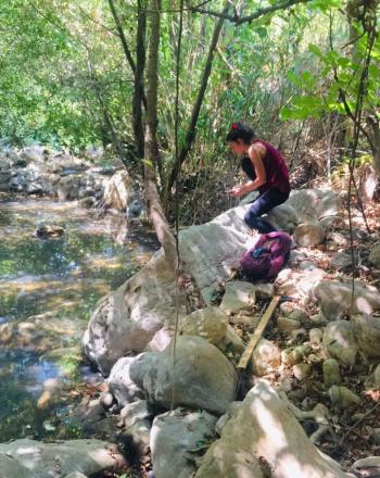 Surveying the biodiversity of Damour river basin, Lebanon.