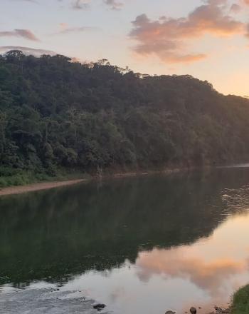 River surrounded by lush trees, either sunset or sunrise.
